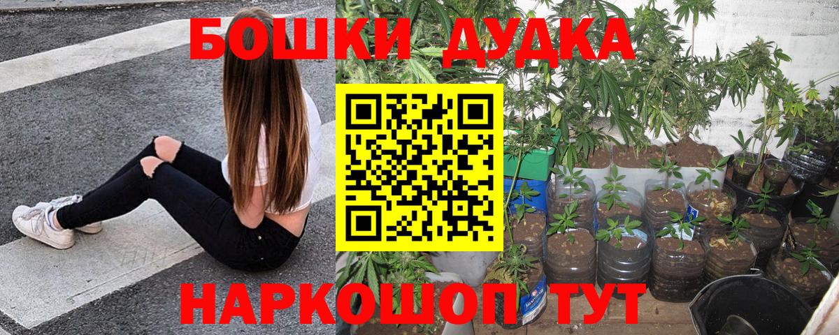 Шишки марихуана конопля Братск